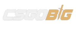 CS2Big Logo